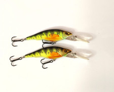 Live target yellow for sale  Louisville