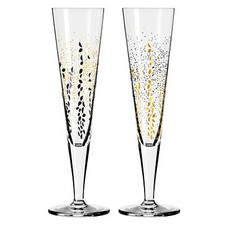 Ritzenhoff champagnerglas set gebraucht kaufen  Drochtersen