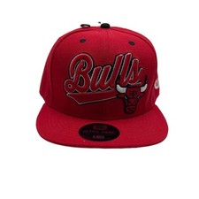 Chicago bulls nba for sale  Hanover