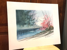 Signed mark polomchak for sale  Ormond Beach
