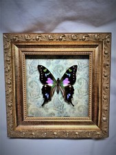 Stained glass beauty for sale  Emporia