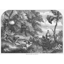 Pheasant shooting scene for sale  GLASGOW
