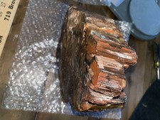9x7x2 petrified wood for sale  Cocoa Beach