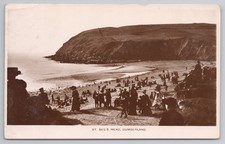 Rppc bee head for sale  MANCHESTER