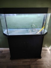 Juwel aquarium fish for sale  CARLISLE