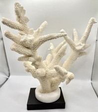 Dekorative weiße koralle gebraucht kaufen Dekorative weiße koralle gebraucht kaufen  Gifhorn