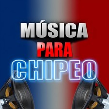 Musica Para Chipeo | Chuchero Usb | Usb Con Musicas Para Musicologo comprar usado  Enviando para Brazil