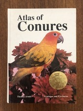 Atlas conures thomas for sale  EXETER