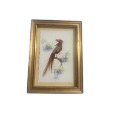 Vintage antique feather for sale  Salem