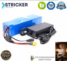 Akku 48v 20ah gebraucht kaufen  Schmallenberg