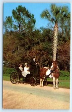 Postcard french made for sale  Wichita