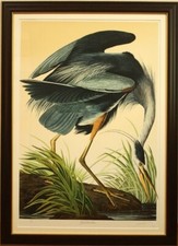 John james audubon d'occasion  Expédié en Belgium