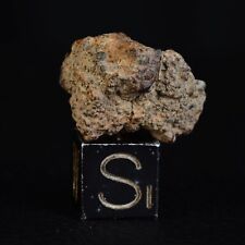 Météorite NWA 11882 de 4,31 g Northwest Africa chondrite LL4  #12C023.8, usado comprar usado  Enviando para Brazil