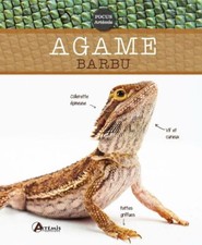 Agame barbu preisser d'occasion  Joinville