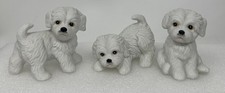 White maltese puppies for sale  Wading River