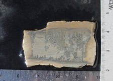 Cotham marble lapidary for sale  San Manuel