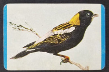 Bobolink 1957 quaker for sale  Reading