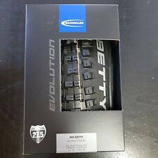 Schwalbe big betty usato  Voltago Agordino