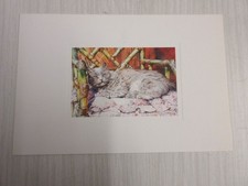Postcard watercolor animals d'occasion  Expédié en Belgium