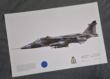 Squadron print jaguar for sale  DONCASTER