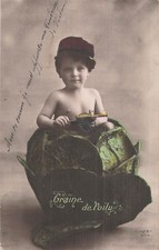 Patriotique graine poilu d'occasion  Vasles