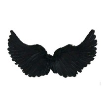 Black angel devil for sale  ROCHESTER