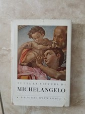 Tutta pittura michelangelo usato  Zerbolo