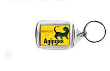 Portachiavi recente agipgas usato  Italia