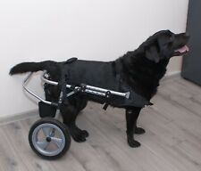 Chariot chiens handicapés d'occasion  Expédié en France