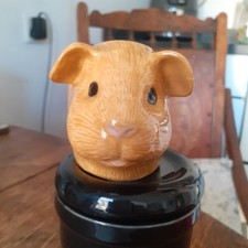 Guinea pig egg for sale Guinea pig egg for sale  YORK