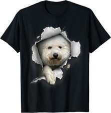 bichon frise d'occasion bichon frise d'occasion Expédié en Belgium