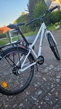 Kaniabikes twentyfour stvo gebraucht kaufen  Greifswald-Umland ll