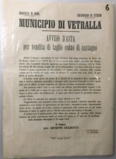 Manifesto vetralla viterbo usato  Viterbo