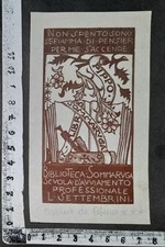 Wunderkammer exlibris 618 usato  Pescara