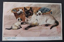 Cat postcard siamese for sale  POTTERS BAR