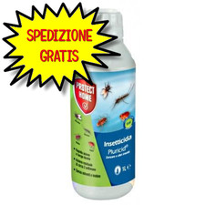 Protect home pluricid usato  San Felice Circeo