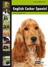 Pets english cocker for sale  STOCKPORT