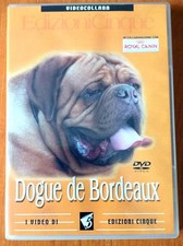 Dogue bordeaux video usato  Perugia