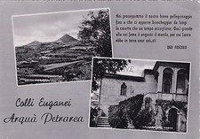 Arqua petrarca colli usato  Roma