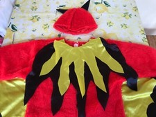 Travestimento costume carneval usato  Roma