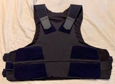 Schusssichere kugelsichere wes gebraucht kaufen  Detmold