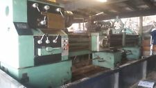 Tarnow tuj 50m for sale  Watertown
