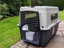 Airline approved pet for sale  EDINBURGH