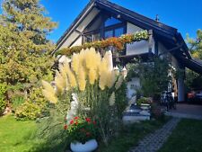 Ferienhaus vermietung stsee gebraucht kaufen  Bad Doberan
