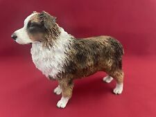 Australian shepherd brown for sale  San Jose