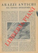 Cavaliere angelo arazzi usato  Italia