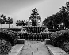8x10 photo iconic for sale  Summerville