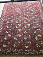 Turkoman kisal ayak for sale Turkoman kisal ayak for sale  EASTBOURNE