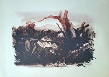 Albero secco incisione usato  Napoli