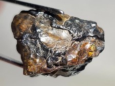 Nwa 16099 pallasite d'occasion  Expédié en Belgium